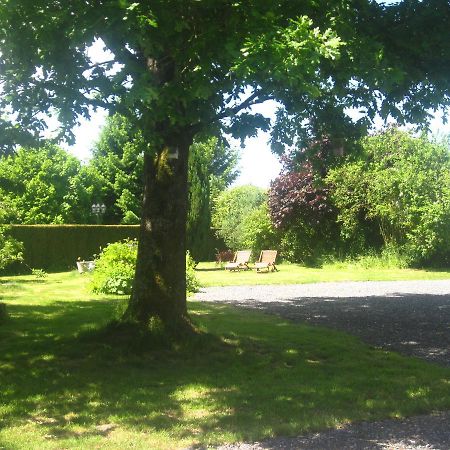 Les Temps Gourmands Bed & Breakfast Mondrepuis Bagian luar foto