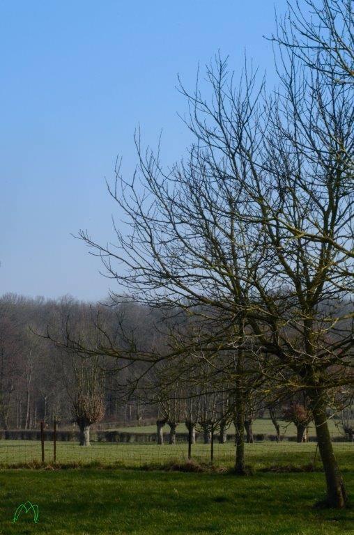Les Temps Gourmands Bed & Breakfast Mondrepuis Bagian luar foto